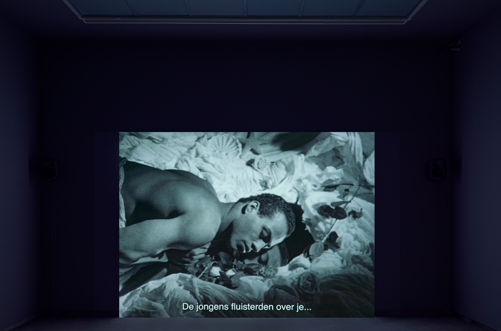 Vrijheid is geen taart 1