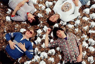 Gelukkig geen feest met Grizzly Bear