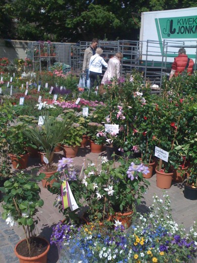  Planten