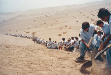  Francis Alÿs