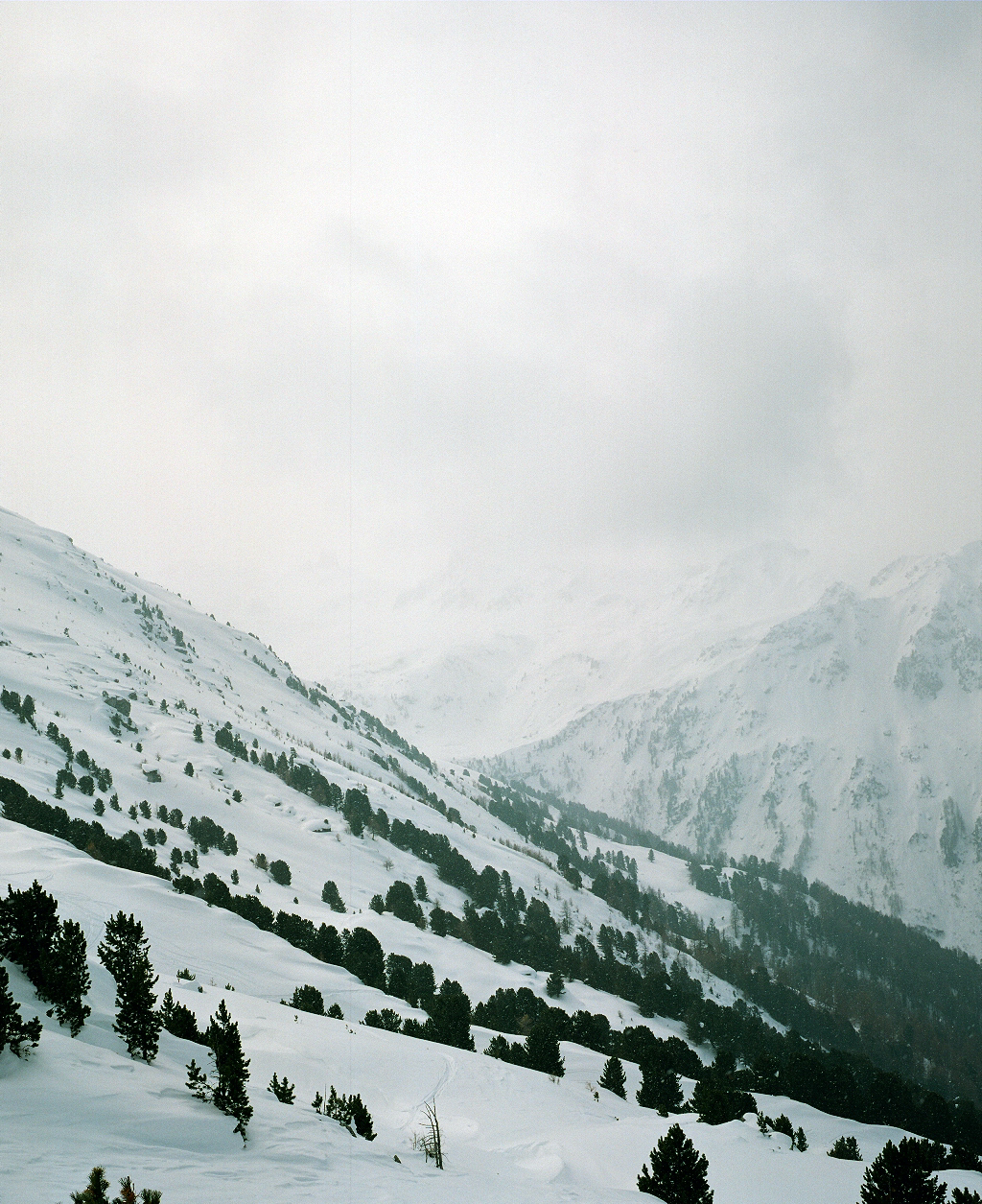 Blinde skiër