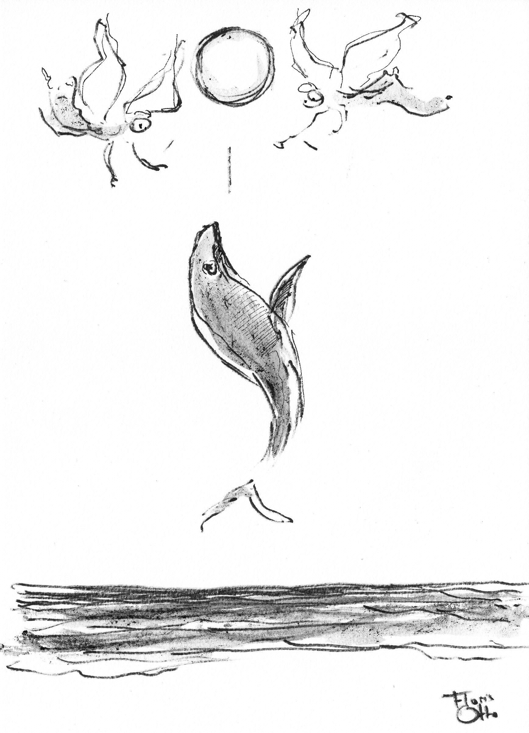 De Komst van de Walvis