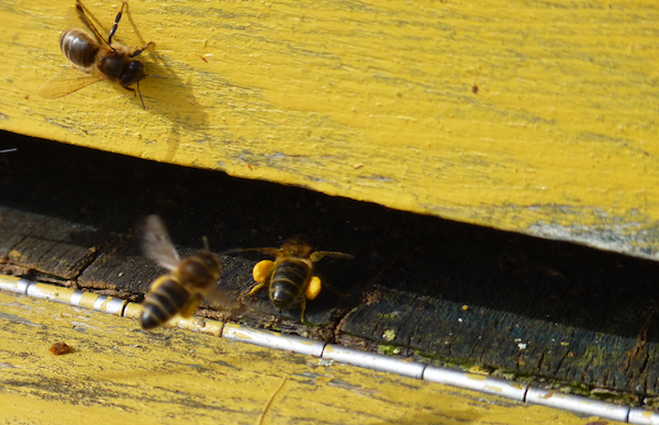 Over vier jaar zijn we allemaal dood