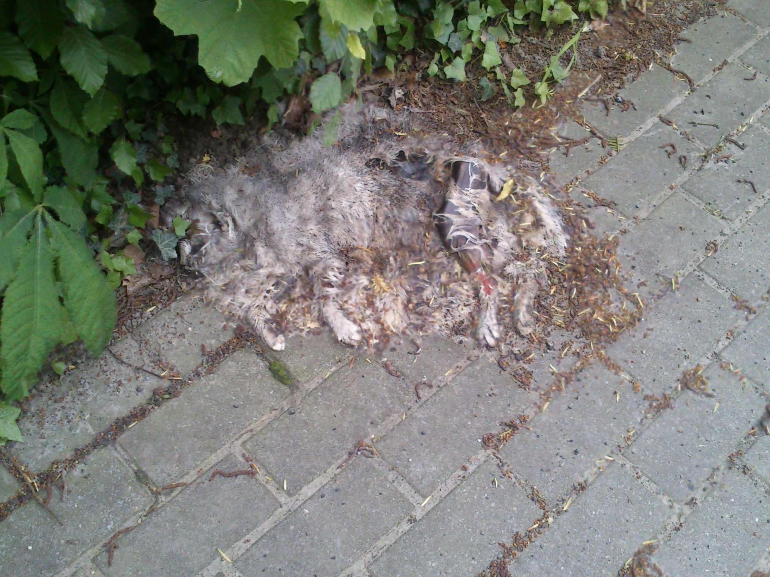 28 dingen die ik vies vind