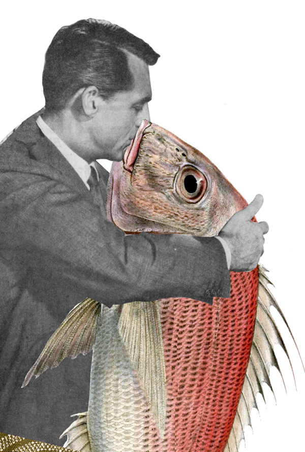 Zeebaars
