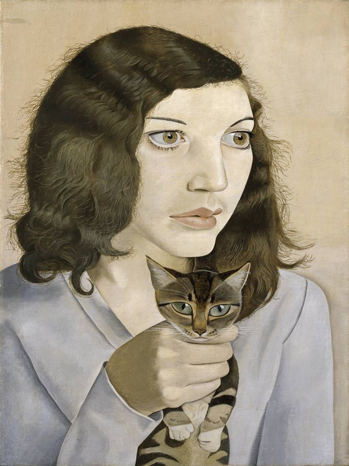 Aai eens een andere kat