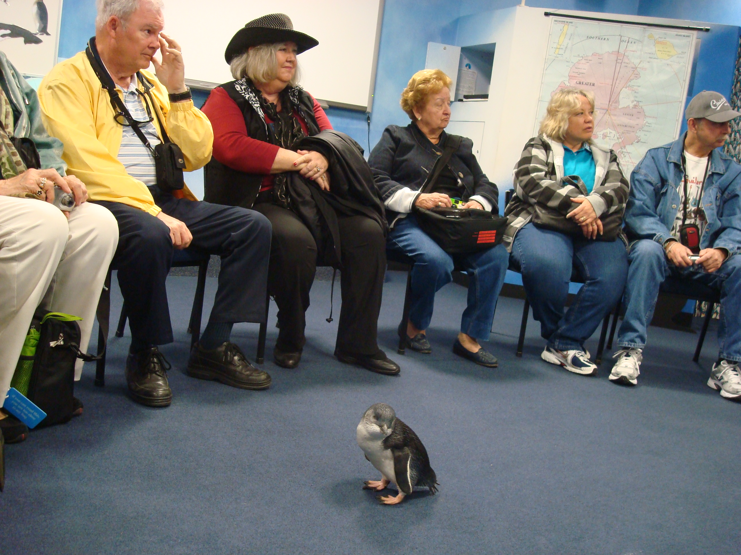 TIP: Tegen een decor van ijsschotsen