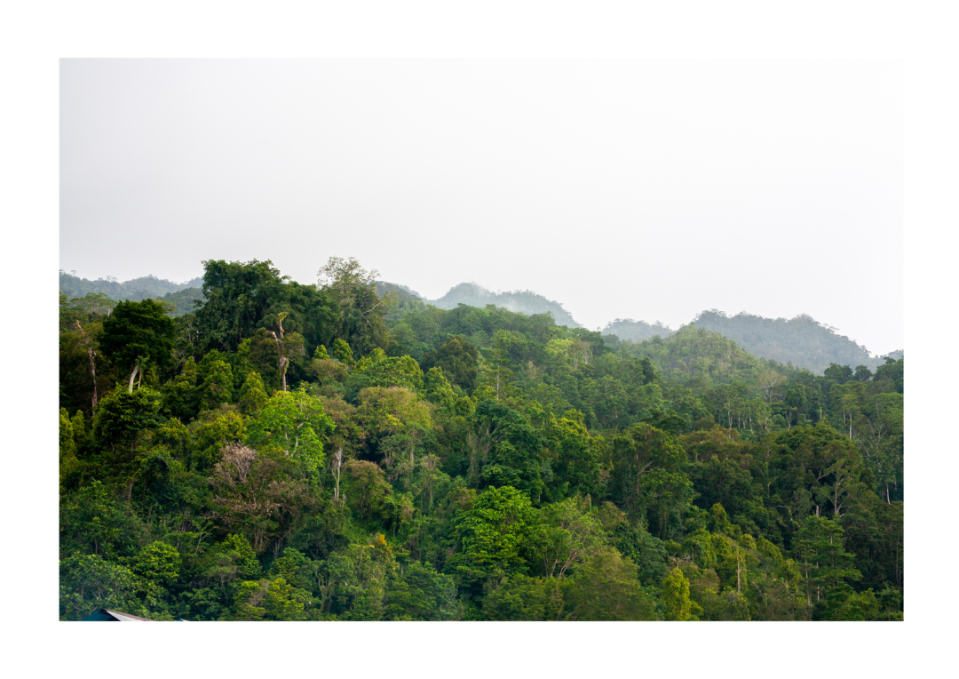 :Archieven van West-Papua: Over narratieven, liederen en wat als kennis telt