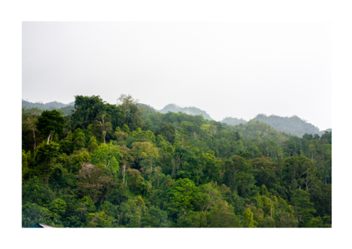 :Archieven van West-Papua: Over narratieven, liederen en wat als kennis telt