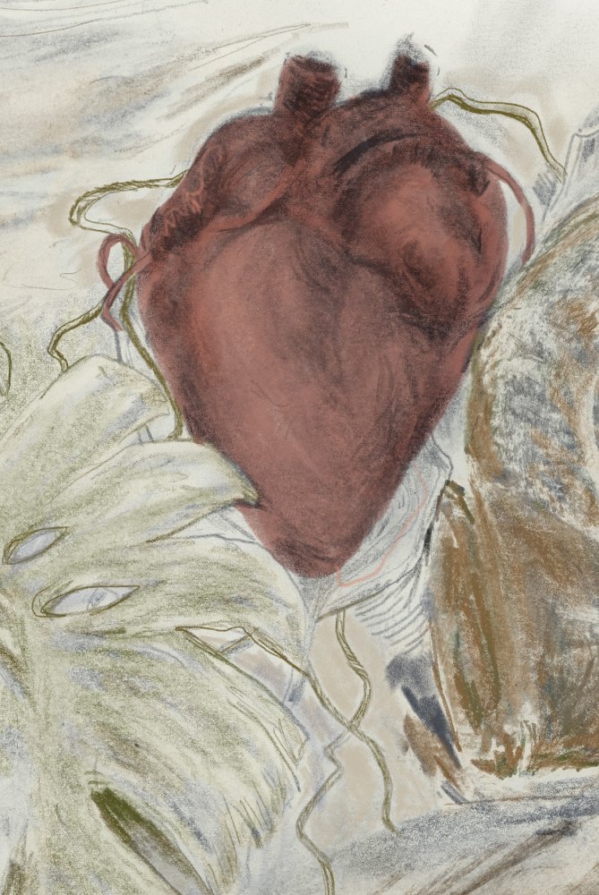 Laboratoriumkinderen